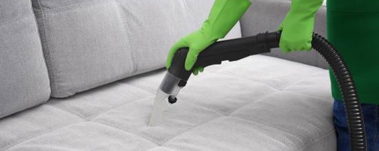 Upholstery Cleaning Mundaring | Best Pet stain and odor Removal Service