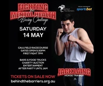 behind the barriers fight night