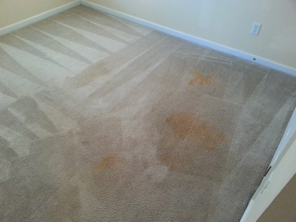 Carpet Cleaning Before & After – Augusta, GA | Mr. Steam Carpet Cleaners