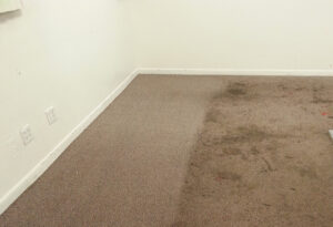 Expert Carpet Cleaning, Inc - Home