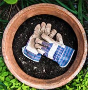 (at Least) Five Reasons You Should Wear Gardening Gloves