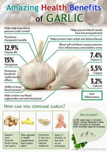 the power of garlic