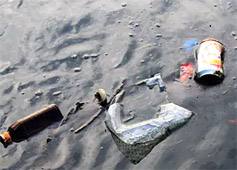 Deposit Schemes Reduce Drink Containers In The Ocean By 40%