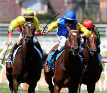 Poll Says Most People Support A Ban On Whips In Australian Horse Racing