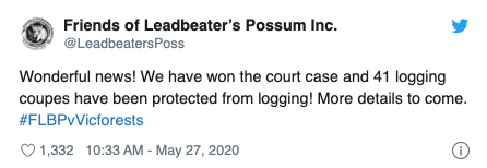 the leadbeater’s possum finally had its day in court. it may change the future of logging in australia