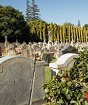 visions of future cemeteries: 5 models and how australians feel about them