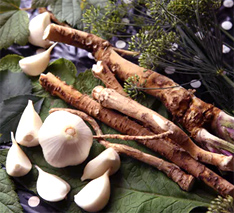 Science Or Snake Oil: Will Horseradish And Garlic Really Ease A Cold?