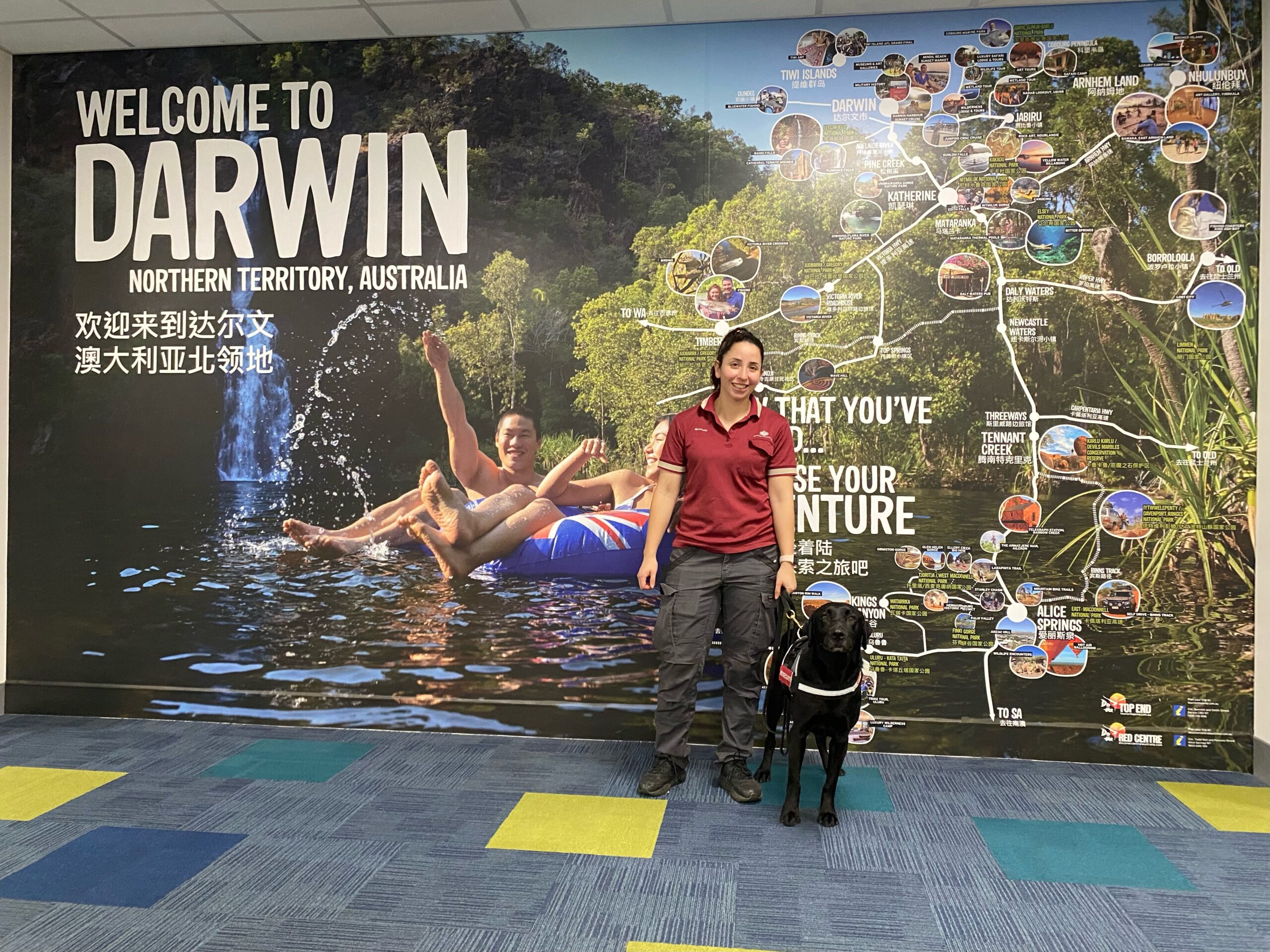 Detector Dog Zinta in Darwin with handler at Darwin airport scaled