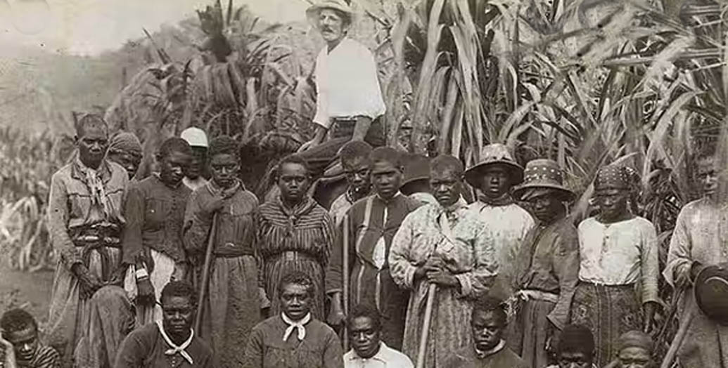 Sunday essay a slave state how blackbirding in colonial Australia created a legacy of racism