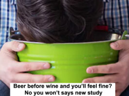 Beer before wine and youll feel fine Header
