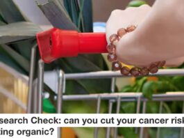 Can You Cut Your Cancer Risk by Eating Organic Header
