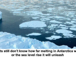 How far will melting in Antartica go header