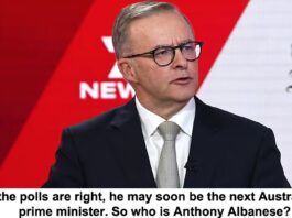 If the polls are right he may soon be the next Australian prime minister So who is Anthony Albanese