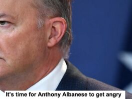 Its time for Anthony Albanese to get angry header