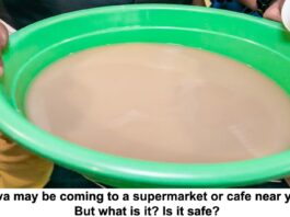 Kava may be coming to a supermarket or cafe near you But what is it Is it safe