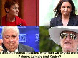 Populism and the federal election what can we expect from Hanson Palmer Lambie and Katter
