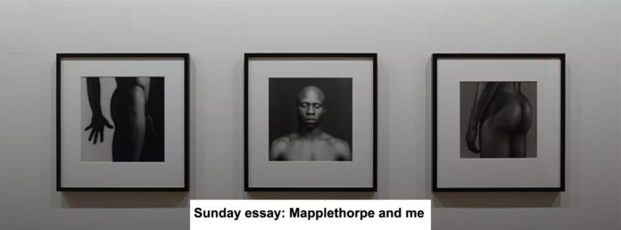 Sunday essay Mapplethorpe and me Heading