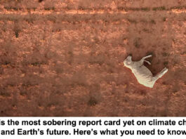 This is the most sobering report card yet on climate change header
