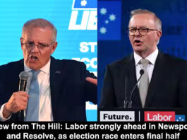View from The Hill Labor strongly ahead in Newspoll and Resolve as election race enters final half