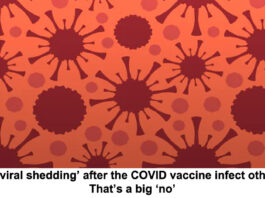 Viral shedding after COVID vaccination header