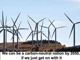 We can be carbon neutral by 2050 header