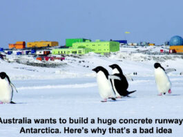 a huge concrete runway in antarctica header