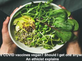 are covid vaccines vegan header