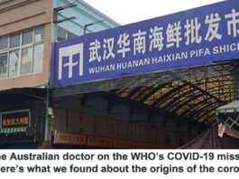 aust dr s report on wuhan header