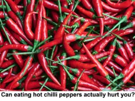 can eating hot chillis hurt you header
