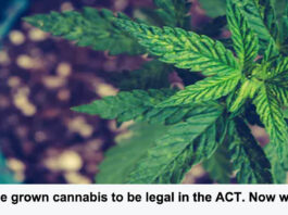 home grown legal in act header