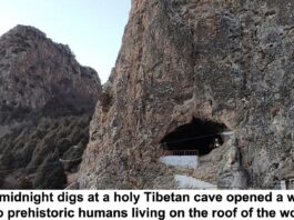midnight digs at a holy tibetan cave header