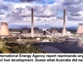 new international energy agency report header
