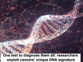 researchers exploit cancers unique DNA signature Header