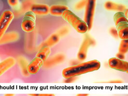 testing gut microbes to improve health header