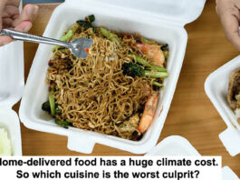 the climate cost of home delivered food header