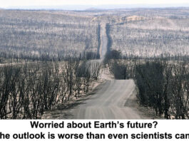 worried about earth s future header