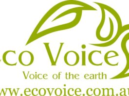 Eco Voice logo small 5