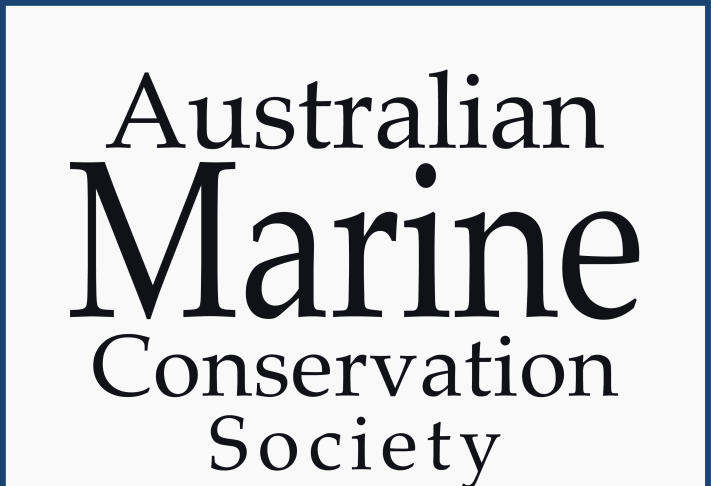 Australian Marine 711x1024 1
