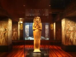 Ramses coffin by James Alciock SMALL lnzsoj (1)