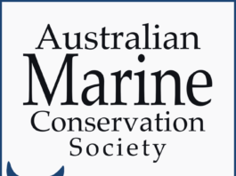 Australian Marine 711x1024 2